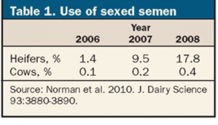 Where sexed semen is used