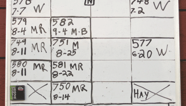 calf map on dry rerase board