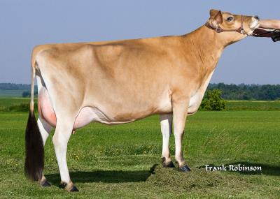 Red Top Judge 18420