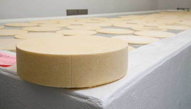 wheel of cheese