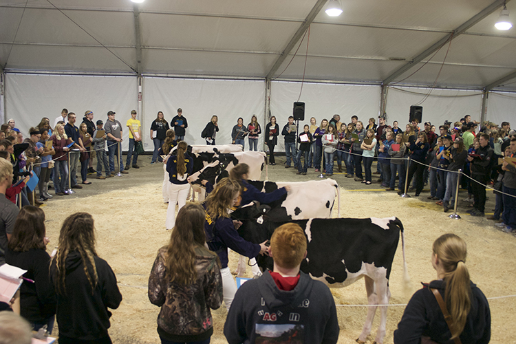 Northwest Wisconsin Ffa Chapter Wins Judging Contest