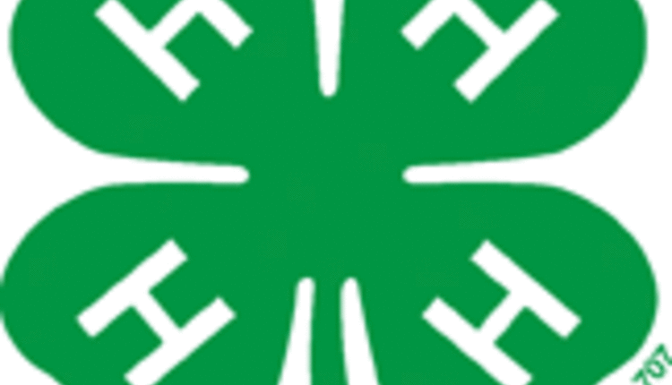 4-H logo