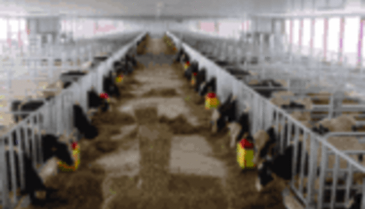 ABS Varney Barn