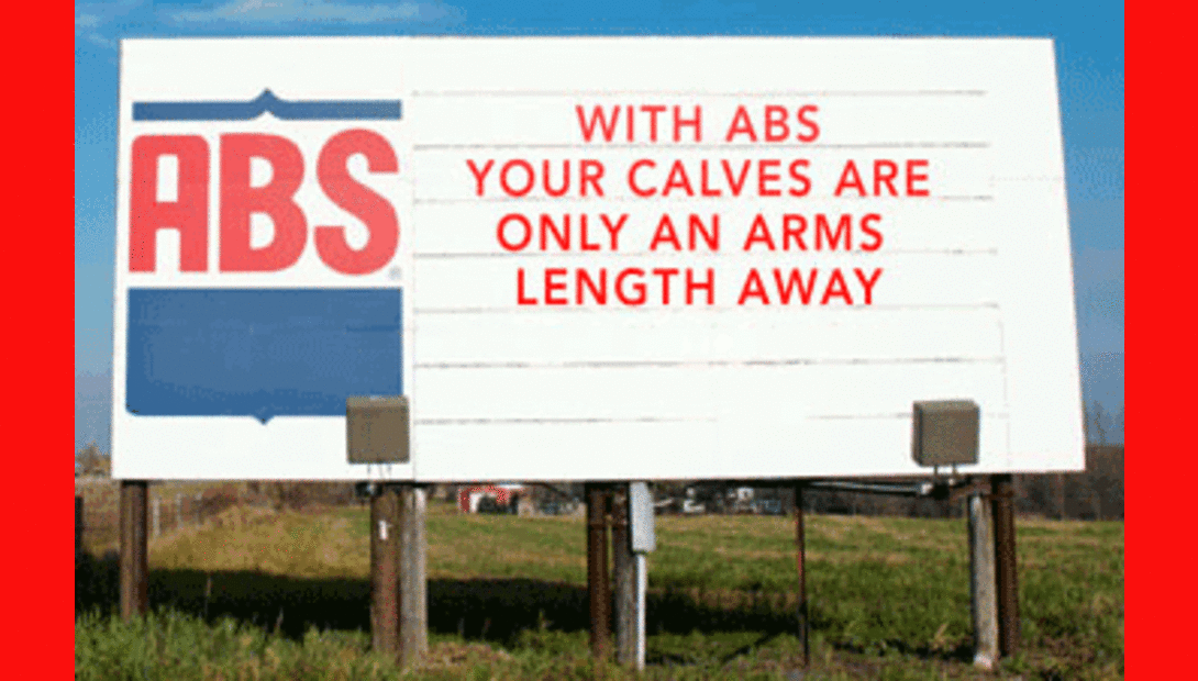 ABS Global Bullboard winner
