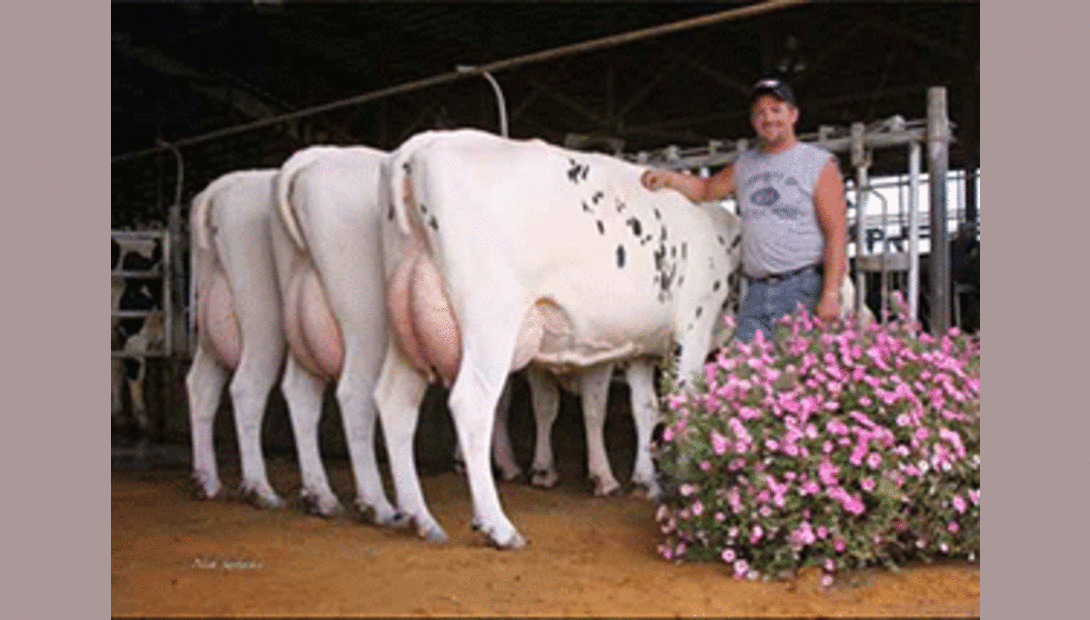 Accelerated Genetics