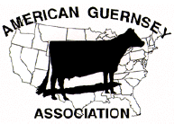 American Guernsey Association