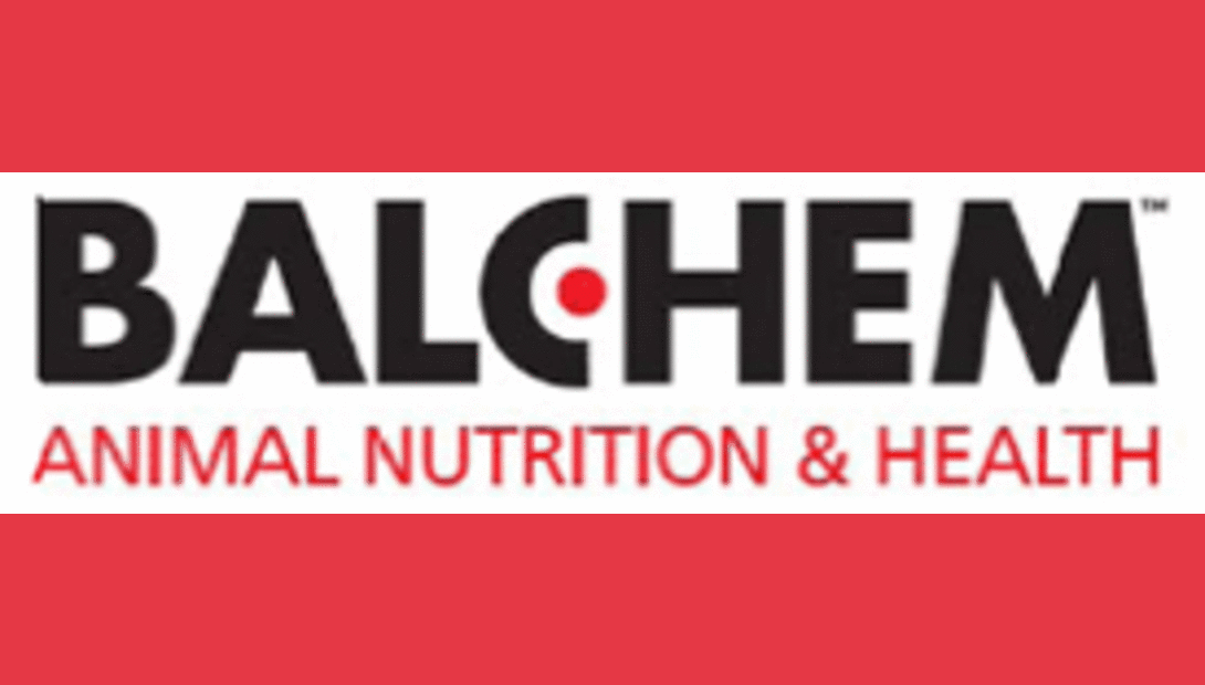 Balchem logo
