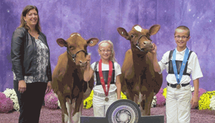 Cole and Ava Booth in junior dairy cattle showmanship at World Dairy Expo