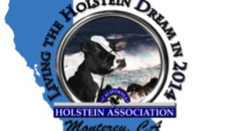 CA Holstein logo