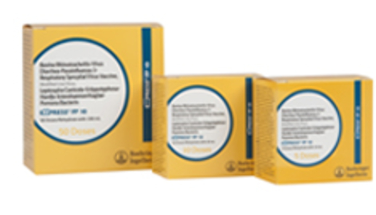 Boehringer IngelheimEXPRESS