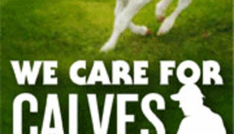 We Care of Calves