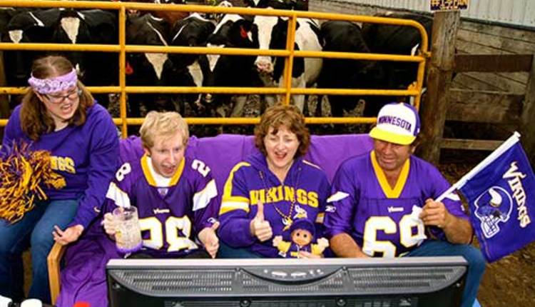 Dairy family showing pride for Minnesota Vikings