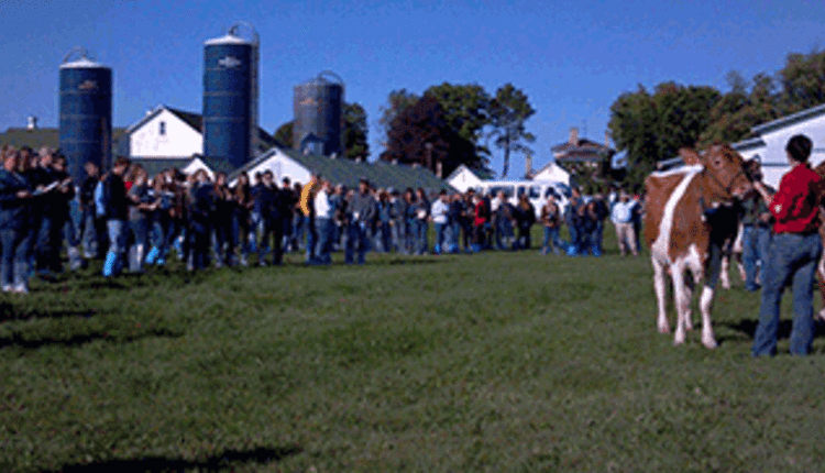 judging at Hoard's Dairyman Farm