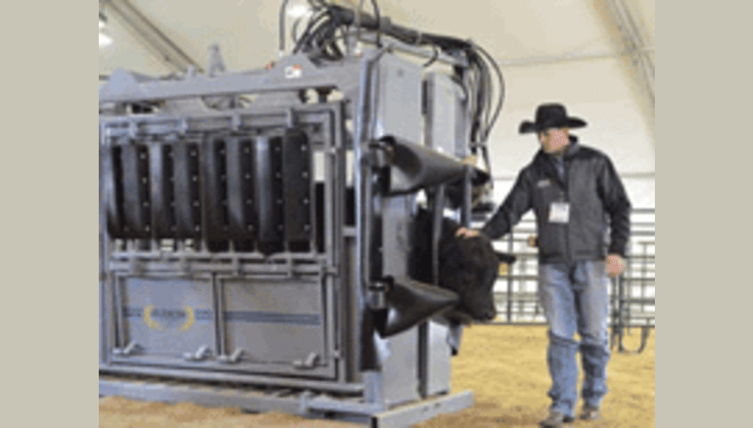 Livestock chute at World Ag Expo