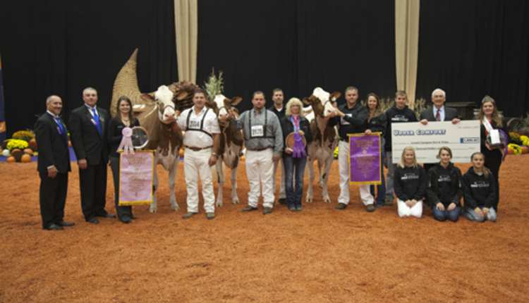 Grand Champions at International Red and White Show 2012