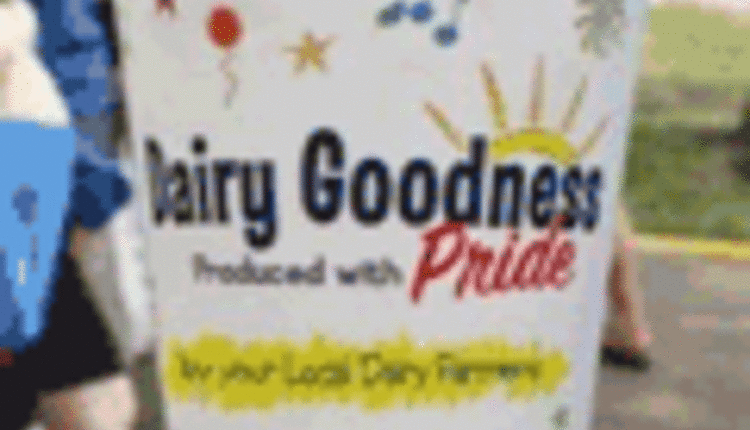 Dairy goodness dessert