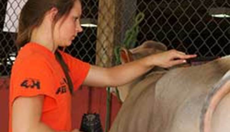 girl preparing topline