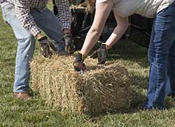 using gloves to lift hay