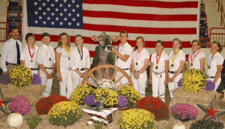 Intermediate showmanship winners 2012 all-american dairy show