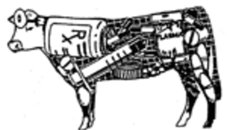 by-product image of a cow
