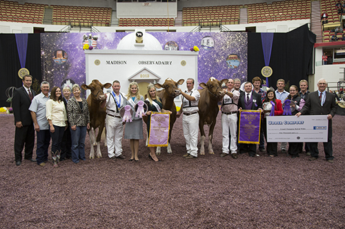 Grand Champion Red & White Show