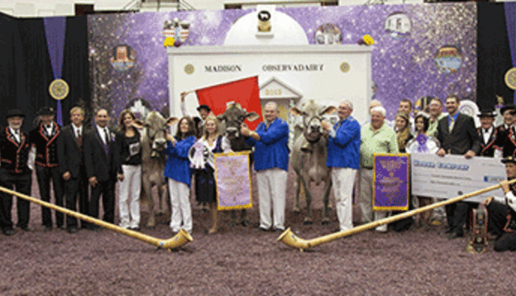 2013 International Brown Swiss Show Grand Champions