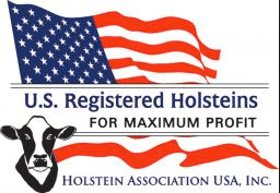 Holstein USA logo