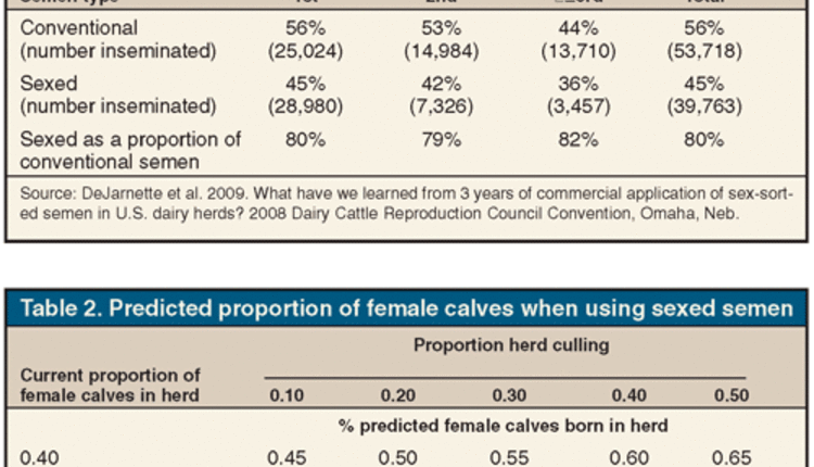 conception rates on sexed-semen