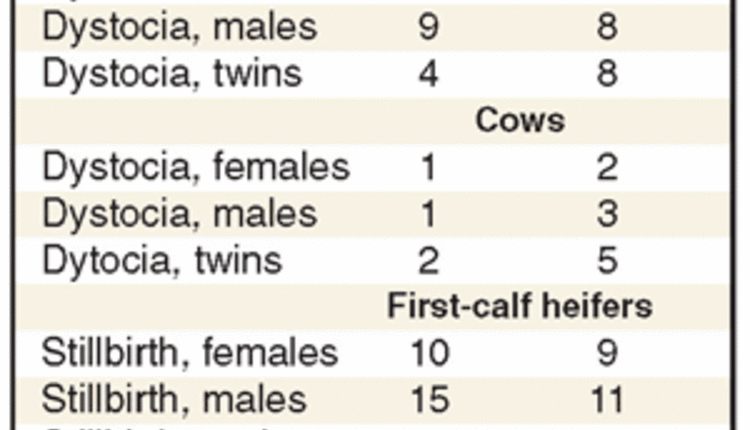 Dystocia and stillbirth comparisons