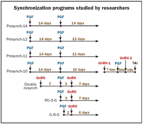 synchronization programs