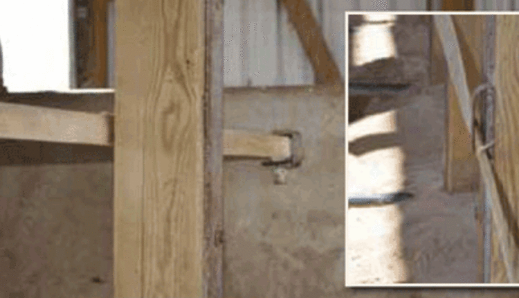 using curtain strapping in freestalls