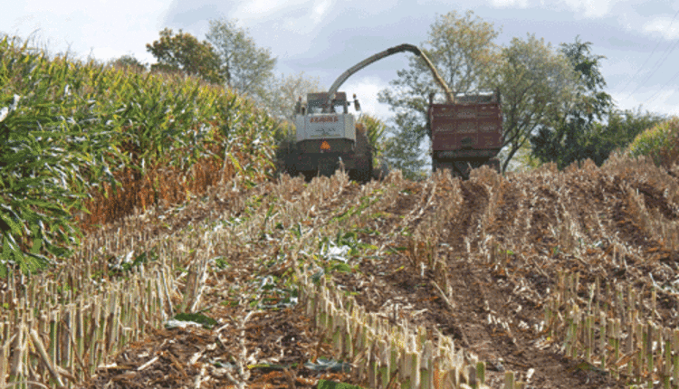 better-corn-silage-is-possible