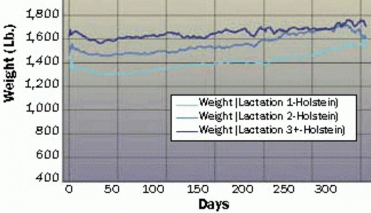 change in body weight by lactation for Holsteins