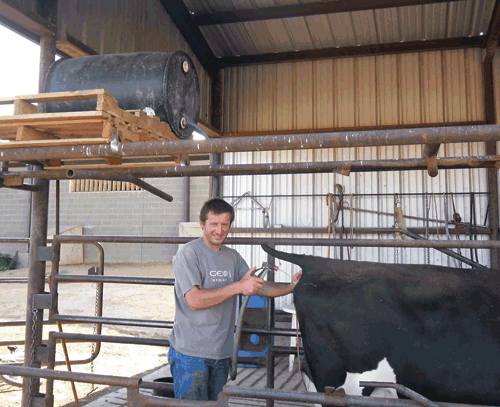 disinfectant stored in barrel above chute