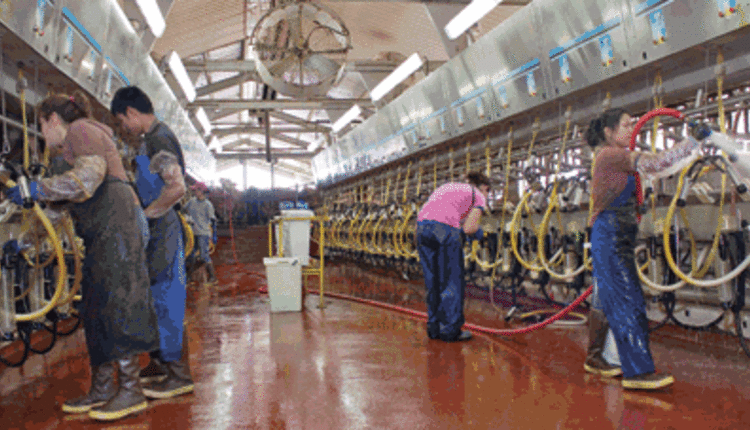 milking parlor