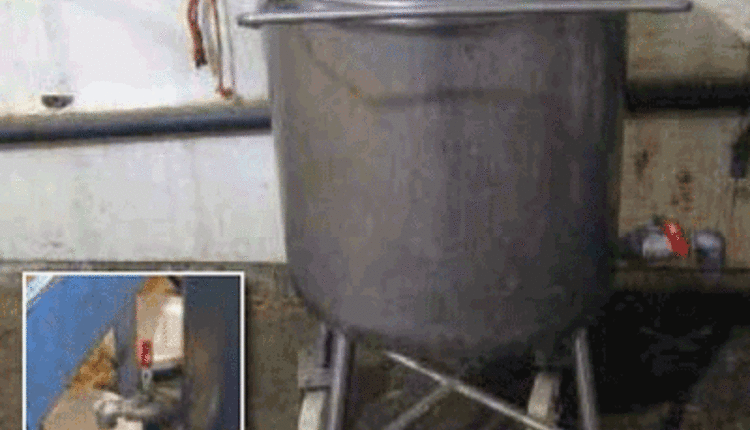 Improved system to feed calves