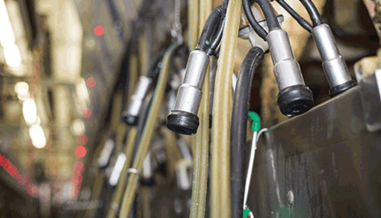 milking machine