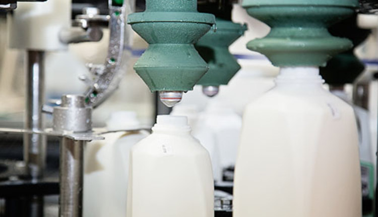 Hoard's Dairyman Editorial team