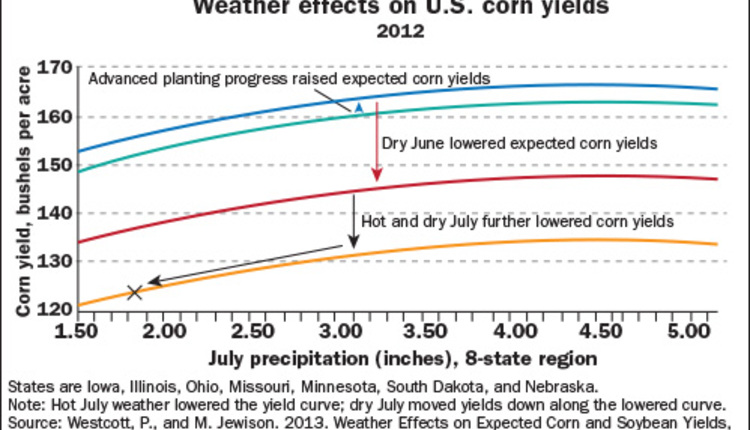 Weather effects on U.S. corn yields, 2012