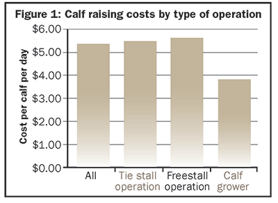 Calf raising costs by type of operation