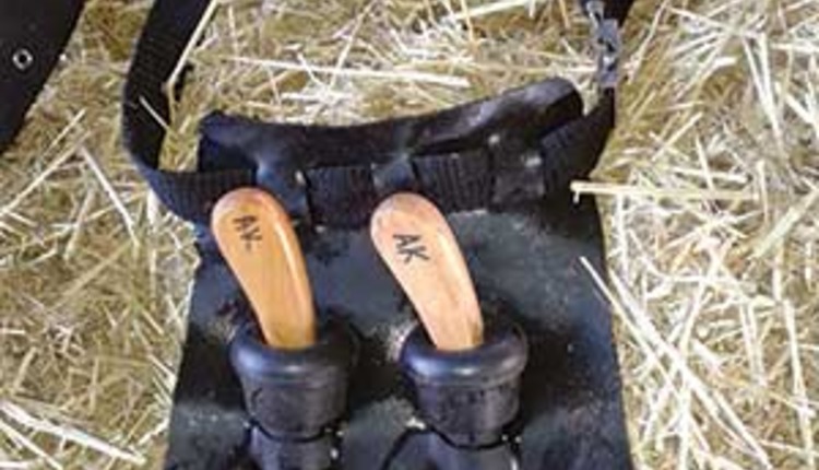 belt to protect hoof-trimming knives