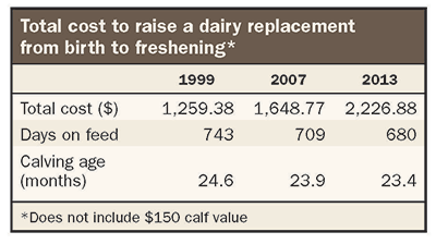 cost to raise a dairy replacement chart