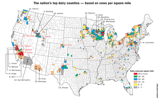 top 25 counties by dairy cow numbers