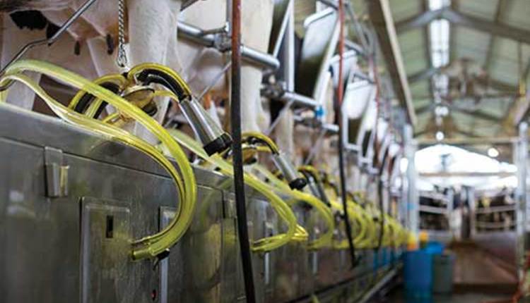 milking parlor
