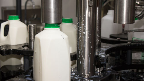 milk processing