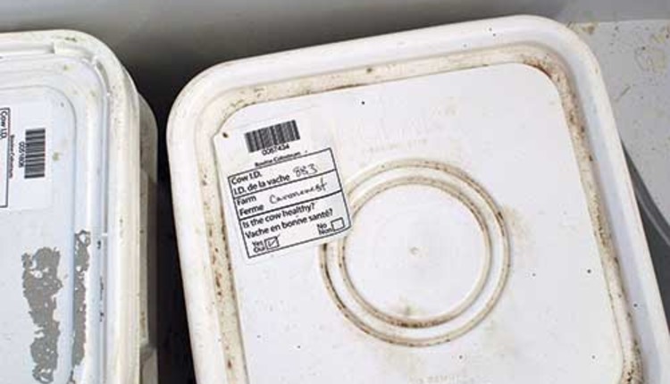 colostrum labeling