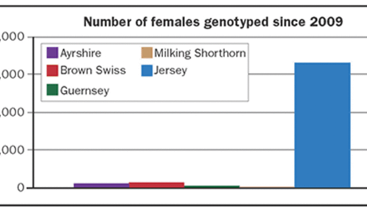 Number of females genotyped since 2009
