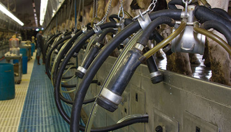 milking machines