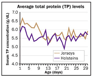 Average total protein levels in colostrum