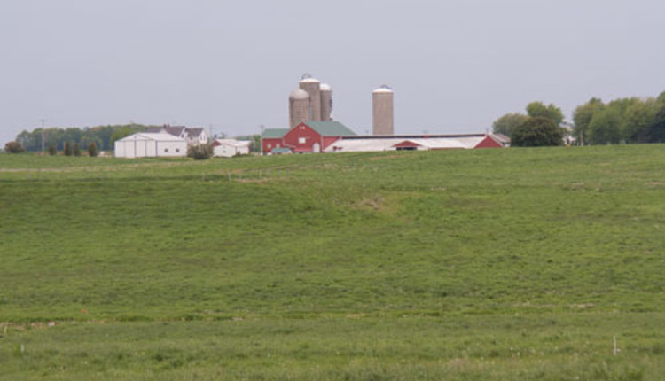 farmstead